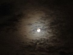 -江南大学(蠡湖校区)