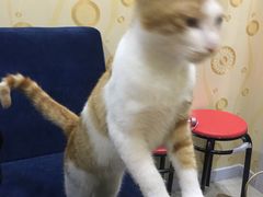-汇佳桌游剧本咖啡馆(万体馆旗舰店)