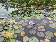 -国家植物园南园