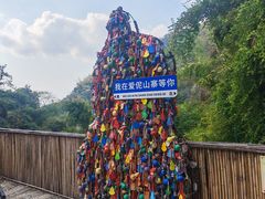 -西双版纳原始森林公园