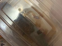 -杜六房(大沽路店)