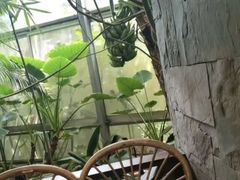 -金稼园·金平湖农家菜