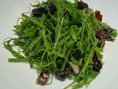 辣木苗拌鸡纵菌-永安鱼庄·镇江菜(东吴路店)