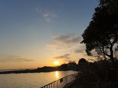 -莲花岛景区