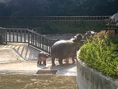 -济南野生动物世界