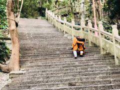 -普陀山风景区-佛顶山