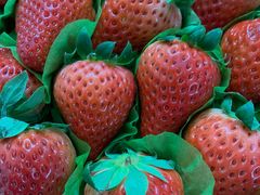 -百果园(文庄路店)