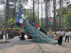 -成飞公园