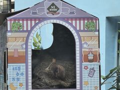 -青藏高原野生动物园