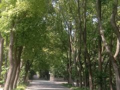 -同里国家湿地公园