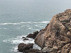 -广东惠东海龟国家级自然保护区