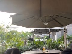 -薇酌饮·陕西菜(南门外店)