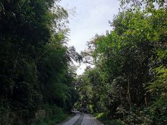 -紫金山天文台