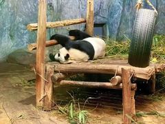 -深圳野生动物园