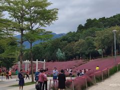 -牛岗山公园