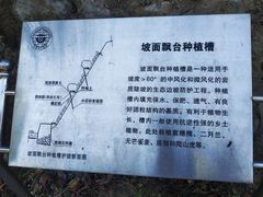 -北京鹫峰国家森林公园