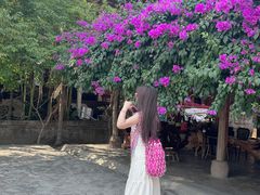 -西双版纳傣族园