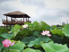 -嘉北郊野公园
