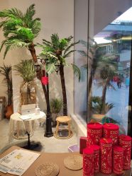 -好看加白色房子