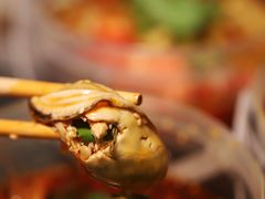 -金龙·打边炉(南京西路店)