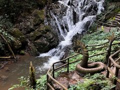 -莫里热带雨林景区