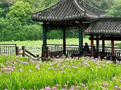 -龙头寺公园