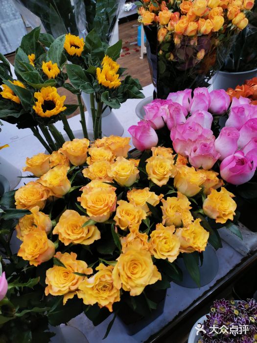 长春青怡坊鲜花批发(青怡坊花鸟市场店)图片
