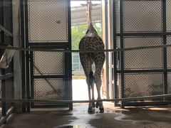 -嘻哈壹笑堂相声茶馆(大儒巷店)