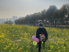 -汉江湾体育公园