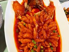 松鼠桂鱼-紫光园(顺义店)