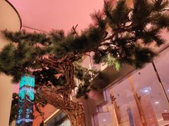 -桂满陇·蟹黄小笼汤包(中山公园店)