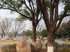-月湖风景区