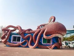 -泉城欧乐堡海洋极地世界