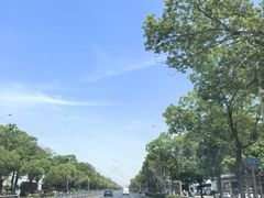 -尊宝比萨(南油龙城路店)