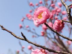 -苏州太湖国家湿地公园