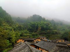 -杨家堂村
