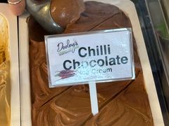 -Dooley's Premium Ice Cream