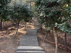 -敬亭山风景名胜区