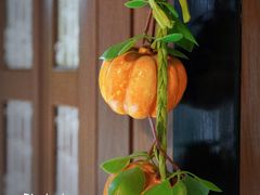 -长湘居(数码大厦店)