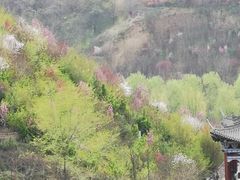 -渭南桃花源民俗文化园