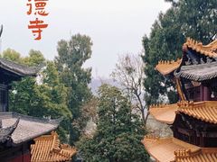 -中国观音故里广德景区