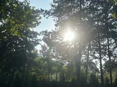 -汉长安城未央宫国家考古遗址公园