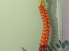 -修申骨雕小颜脊柱骨盆管理产后修复
