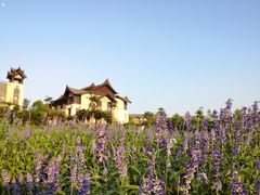 -清远熹乐谷温泉度假酒店