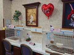 二楼-宠爱国际动物医院· 猫科· 外科·中兽医(长白店)