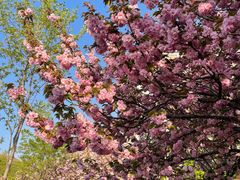 -山东大学(兴隆山校区)