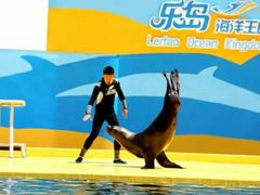 -秦皇岛乐岛海洋王国