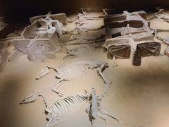 -洛阳周王城天子驾六博物馆