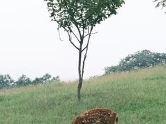-良渚古城遗址公园