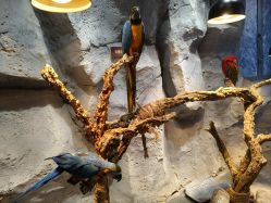 -Zoolung Zoolung动物主题公园(海信广场店)